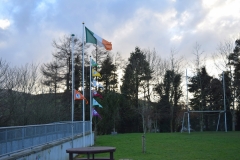Flag